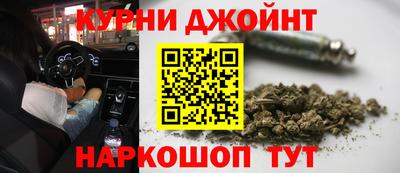 прущие грибы Комсомольск-на-Амуре