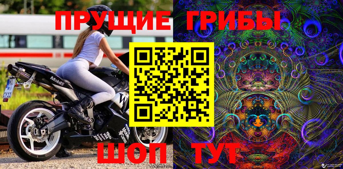 Галлюциногенные грибы ЛСД Кингисепп